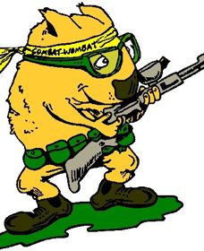 Skirmish Down Under - Sunshine Coast Tourism 0