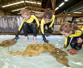 Dandenong South VIC Sunshine Coast Tourism