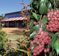Bushfood Factory and Cafe - Holiday Sunshine Coast