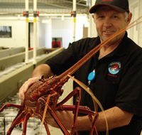 Lobster Shack - Holiday Sunshine Coast