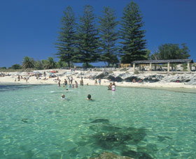 Rottnest Island WA Sunshine Coast Tourism