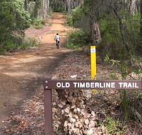 Old Timberline and Sidings Rail Trails - Sunshine Coast Tourism