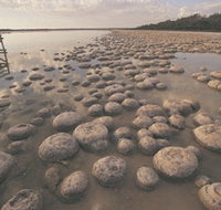 Lake Clifton Thrombolites - Sunshine Coast Tourism