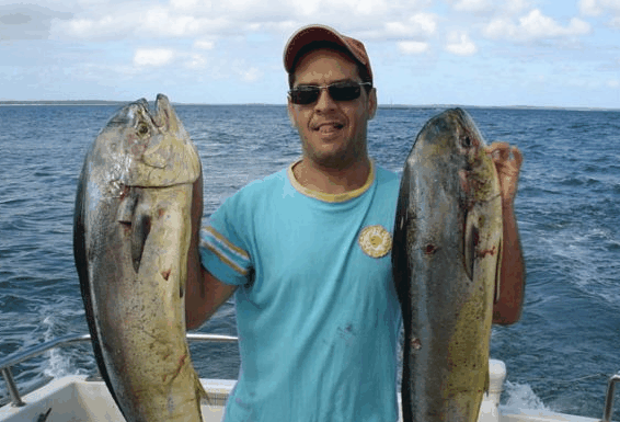 Jervis Bay Fishing And Charters - Holiday Sunshine Coast 0