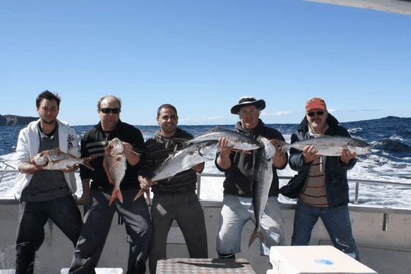 Jervis Bay Fishing And Charters - Holiday Sunshine Coast 2