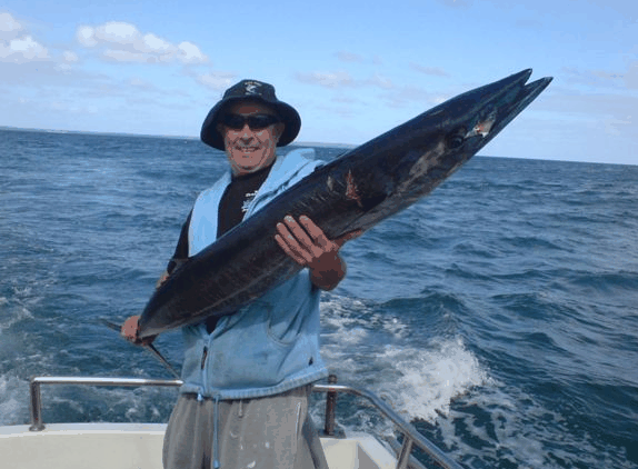 Jervis Bay Fishing And Charters - Holiday Sunshine Coast 4