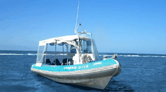 Yongala Dive  - Sunshine Coast Tourism 1
