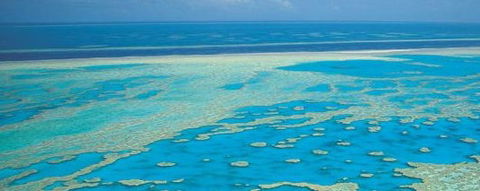 Aristocat Snorkel And Scuba Port Douglas - Sunshine Coast Tourism 3