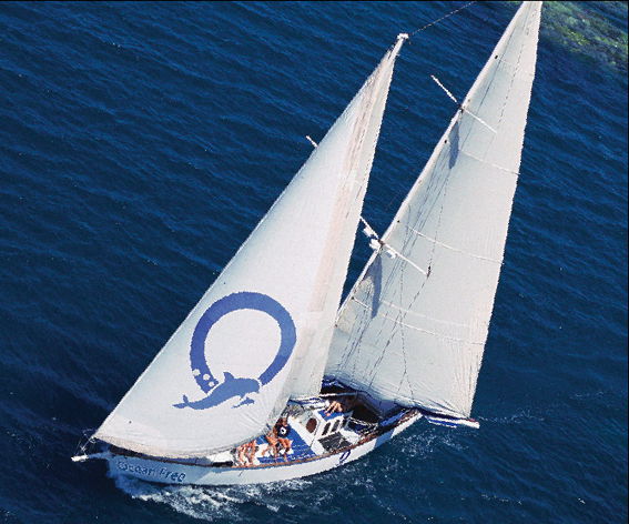 Cairns City QLD Sunshine Coast Tourism