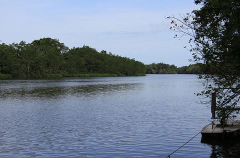 Daintree River Cruise Centre - Sunshine Coast Tourism 2
