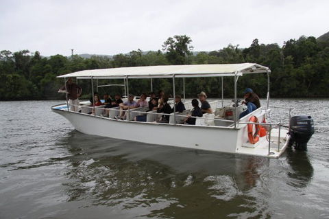 Daintree River Cruise Centre - Sunshine Coast Tourism 3