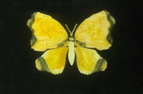 Home Hill QLD Holiday Sunshine Coast