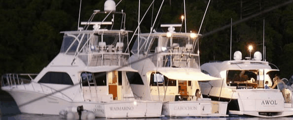 Abel Point Marina - Sunshine Coast Tourism 3