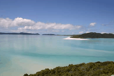 Whitehaven Xpress Whitehaven Beach Tours - Sunshine Coast Tourism 1