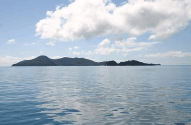Whitehaven Xpress Whitehaven Beach Tours - Sunshine Coast Tourism 2