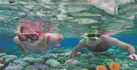 Quicksilver Cruises - Sunshine Coast Tourism 2