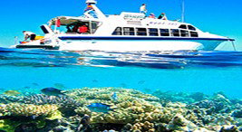 Reef Jet Cruises - Sunshine Coast Tourism 2