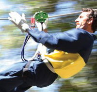 Adventure Parc