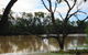 Allan Tannock Weir - thumb 2