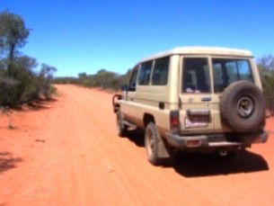 Araucaria Ecotours - Sunshine Coast Tourism 2