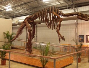 Diamantina Lakes QLD Sunshine Coast Tourism