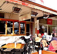 Kamel - Sunshine Coast Tourism