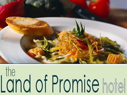 Bowden SA Sunshine Coast Tourism