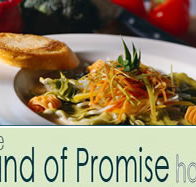 Land of Promise Hotel - Sunshine Coast Tourism
