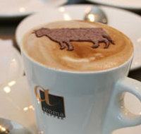 Brown Cow - Sunshine Coast Tourism