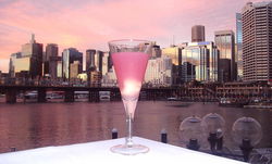 Cohibar - Sunshine Coast Tourism 0