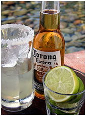  Sunshine Coast Tourism