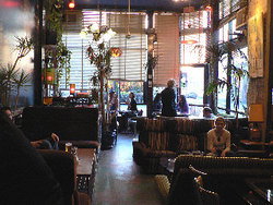 Blackcat - Sunshine Coast Tourism 1