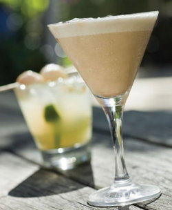 Alexandria Hotel - Sunshine Coast Tourism 1