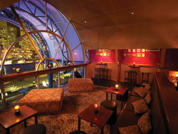 Cohibar - Sunshine Coast Tourism 1