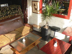 Blackcat - Sunshine Coast Tourism 2