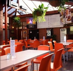 Coopers Alehouse At The Earl - Holiday Sunshine Coast 3