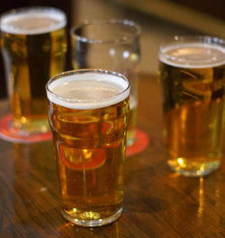 Avenues Tavern - Sunshine Coast Tourism 3