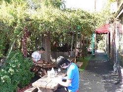 Blackcat - Sunshine Coast Tourism 3