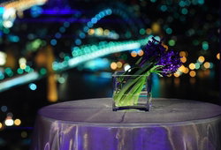 Summit - Orbit Lounge Bar - Holiday Sunshine Coast 3
