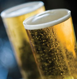 Alexandria Hotel - Sunshine Coast Tourism 3