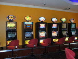 Wee Willie's Tavern - Sunshine Coast Tourism 3