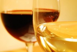 Rrose Bar - Sunshine Coast Tourism 3