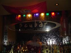 Scubar - Sunshine Coast Tourism 1