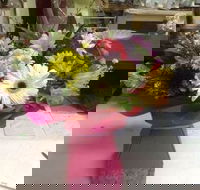 Bahia Restaurant - Holiday Sunshine Coast