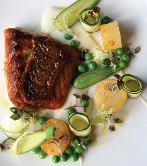 Mondo Organics Restaurant - Holiday Sunshine Coast 5