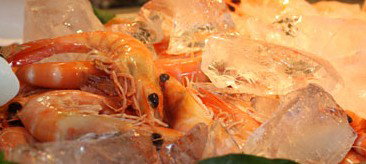 Centrepoint Buffet - Sunshine Coast Tourism 1