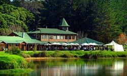 Last Drop Brewery - Holiday Sunshine Coast 0