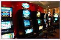 Seaford Hotel - Sunshine Coast Tourism 1