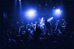 Eastern Hotel Midland - Holiday Sunshine Coast 1