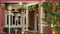 Captain Cook Hotel Botany - Holiday Sunshine Coast 1